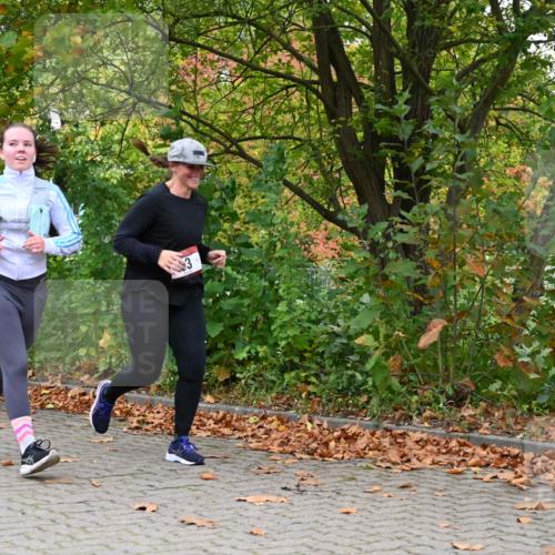11.10.2026 - Bramfelder Halbmarathon 2026 J. Mangold http://msf.ph/oto/10822380 11.10.2026 10:15:33 Laufen 53, 354, 778 meine-sportfotos.de