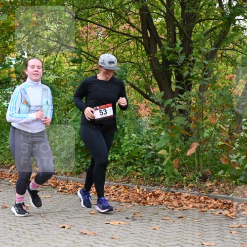11.10.2026 - Bramfelder Halbmarathon 2026 J. Mangold http://msf.ph/oto/10822382 11.10.2026 10:15:33 Laufen 53, 354, 778 meine-sportfotos.de