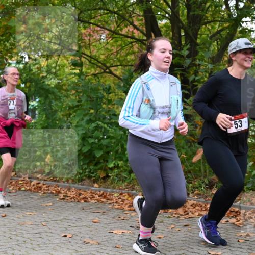 11.10.2026 - Bramfelder Halbmarathon 2026 J. Mangold http://msf.ph/oto/10822388 11.10.2026 10:15:34 Laufen 53, 354, 590, 613, 778 meine-sportfotos.de