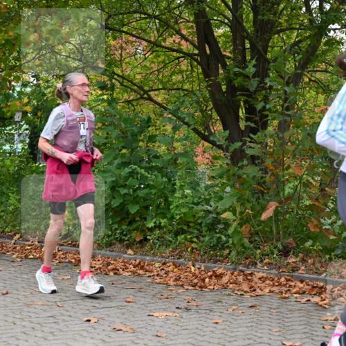 11.10.2026 - Bramfelder Halbmarathon 2026 J. Mangold http://msf.ph/oto/10822392 11.10.2026 10:15:34 Laufen 53, 354, 590, 613, 778 meine-sportfotos.de