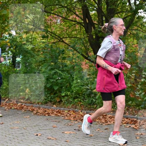 11.10.2026 - Bramfelder Halbmarathon 2026 J. Mangold http://msf.ph/oto/10822402 11.10.2026 10:15:35 Laufen 53, 354, 590, 613, 778 meine-sportfotos.de