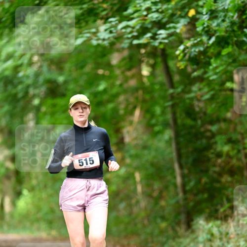 11.10.2026 - Bramfelder Halbmarathon 2026 Dr. Thomas Lammeyer http://msf.ph/oto/10822405 11.10.2026 10:34:24 Laufen 515 meine-sportfotos.de