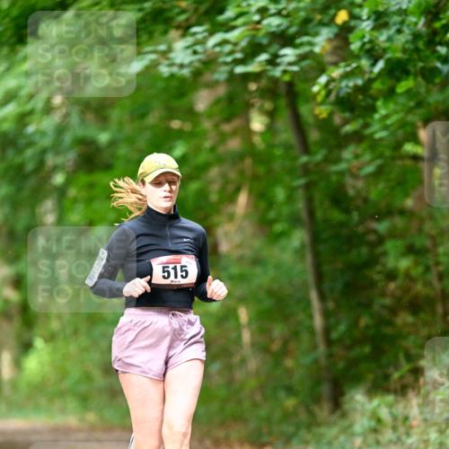 11.10.2026 - Bramfelder Halbmarathon 2026 Dr. Thomas Lammeyer http://msf.ph/oto/10822410 11.10.2026 10:34:24 Laufen 515 meine-sportfotos.de