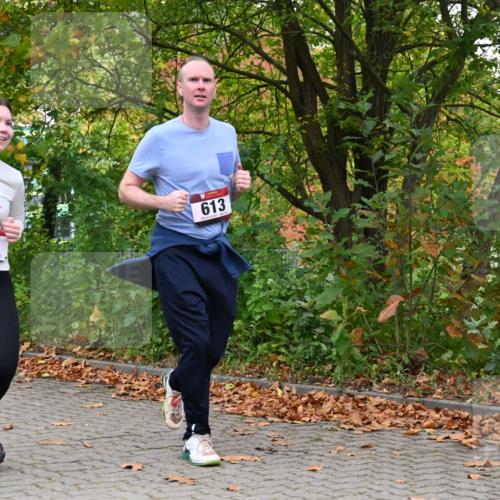 11.10.2026 - Bramfelder Halbmarathon 2026 J. Mangold http://msf.ph/oto/10822411 11.10.2026 10:15:37 Laufen 53, 354, 590, 613, 778 meine-sportfotos.de