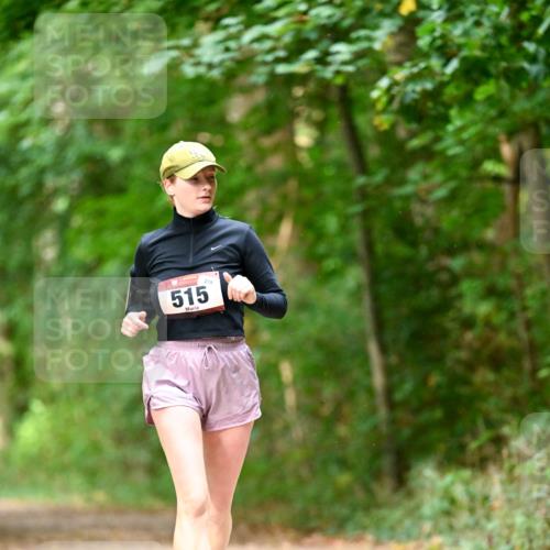 11.10.2026 - Bramfelder Halbmarathon 2026 Dr. Thomas Lammeyer http://msf.ph/oto/10822414 11.10.2026 10:34:24 Laufen 279, 515 meine-sportfotos.de