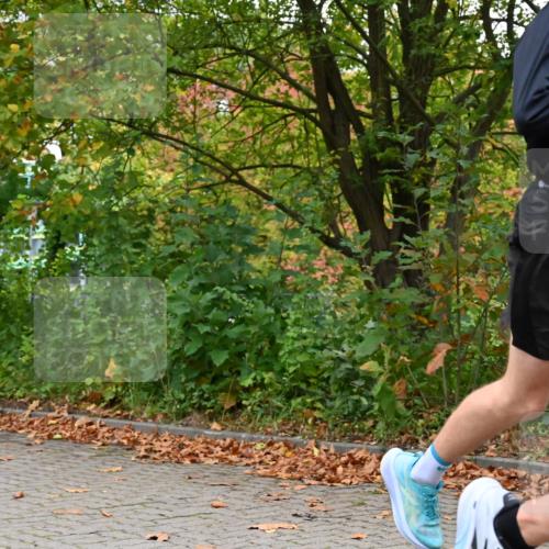 11.10.2026 - Bramfelder Halbmarathon 2026 J. Mangold http://msf.ph/oto/10822447 11.10.2026 10:16:39 Laufen 191, 363 meine-sportfotos.de