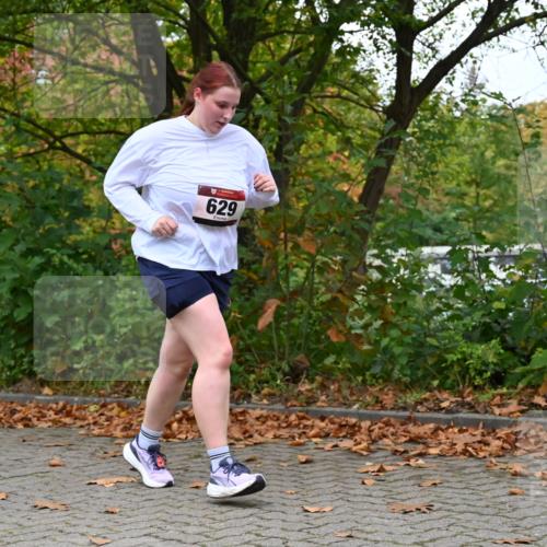 11.10.2026 - Bramfelder Halbmarathon 2026 J. Mangold http://msf.ph/oto/10822449 11.10.2026 10:16:50 Laufen 629 meine-sportfotos.de