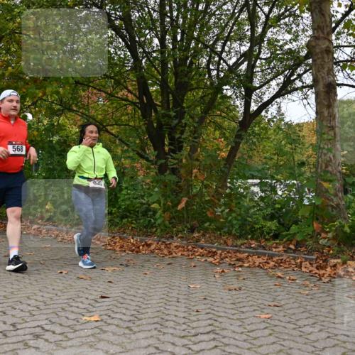 11.10.2026 - Bramfelder Halbmarathon 2026 J. Mangold http://msf.ph/oto/10822483 11.10.2026 10:17:38 Laufen 228, 568, 820 meine-sportfotos.de