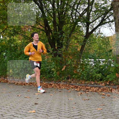 11.10.2026 - Bramfelder Halbmarathon 2026 J. Mangold http://msf.ph/oto/10822531 11.10.2026 10:18:34 Laufen 382 meine-sportfotos.de