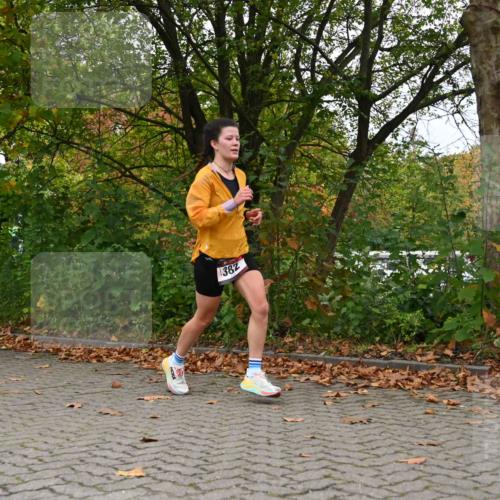 11.10.2026 - Bramfelder Halbmarathon 2026 J. Mangold http://msf.ph/oto/10822533 11.10.2026 10:18:34 Laufen 382 meine-sportfotos.de