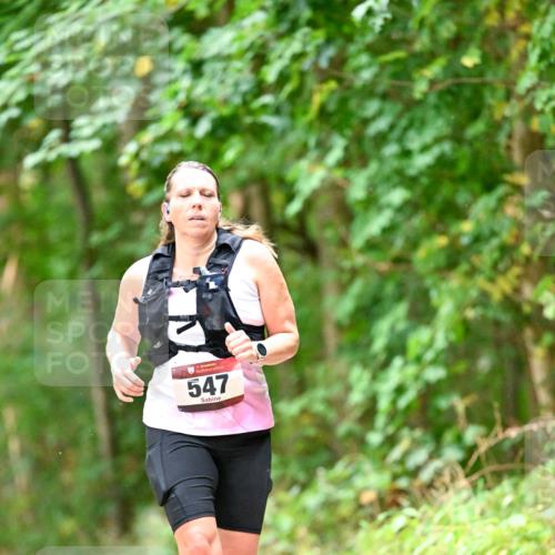 11.10.2026 - Bramfelder Halbmarathon 2026 Dr. Thomas Lammeyer http://msf.ph/oto/10822537 11.10.2026 10:35:18 Laufen 35, 547 meine-sportfotos.de