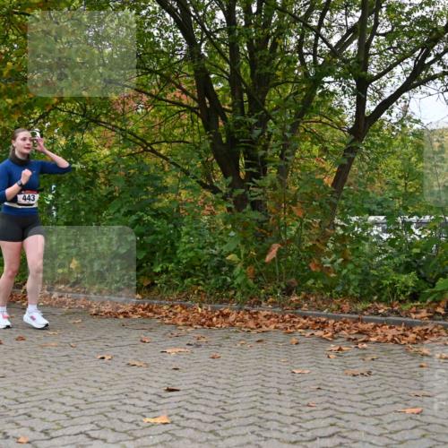 11.10.2026 - Bramfelder Halbmarathon 2026 J. Mangold http://msf.ph/oto/10822538 11.10.2026 10:18:48 Laufen 2, 443 meine-sportfotos.de