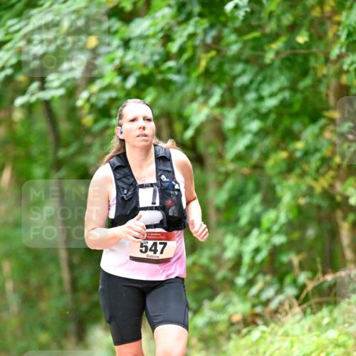 11.10.2026 - Bramfelder Halbmarathon 2026 Dr. Thomas Lammeyer http://msf.ph/oto/10822539 11.10.2026 10:35:19 Laufen 35, 547 meine-sportfotos.de