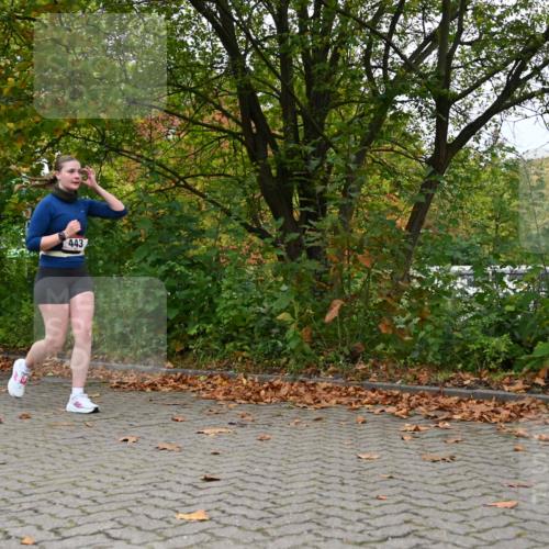 11.10.2026 - Bramfelder Halbmarathon 2026 J. Mangold http://msf.ph/oto/10822540 11.10.2026 10:18:48 Laufen 2, 443 meine-sportfotos.de