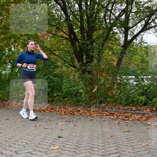 11.10.2026 - Bramfelder Halbmarathon 2026 J. Mangold http://msf.ph/oto/10822542 11.10.2026 10:18:48 Laufen 2, 443 meine-sportfotos.de