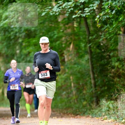 11.10.2026 - Bramfelder Halbmarathon 2026 Dr. Thomas Lammeyer http://msf.ph/oto/10822550 11.10.2026 10:35:23 Laufen 157, 503 meine-sportfotos.de