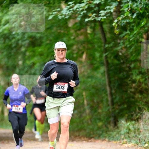 11.10.2026 - Bramfelder Halbmarathon 2026 Dr. Thomas Lammeyer http://msf.ph/oto/10822558 11.10.2026 10:35:24 Laufen 157, 503 meine-sportfotos.de