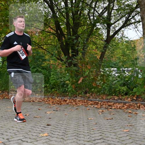 11.10.2026 - Bramfelder Halbmarathon 2026 J. Mangold http://msf.ph/oto/10822559 11.10.2026 10:18:52 Laufen 2, 330, 443 meine-sportfotos.de