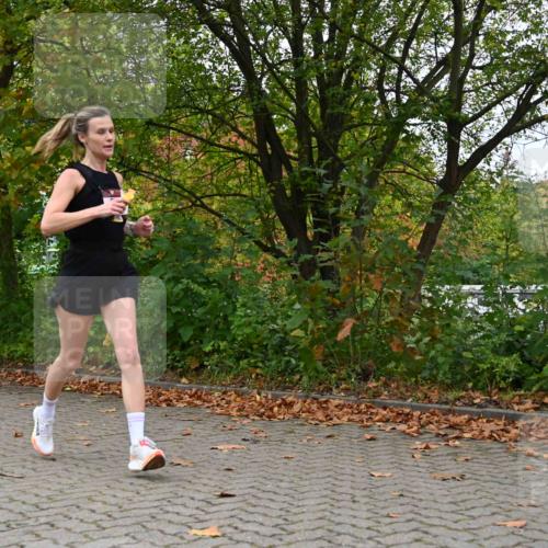11.10.2026 - Bramfelder Halbmarathon 2026 J. Mangold http://msf.ph/oto/10822579 11.10.2026 10:19:19 Laufen 16, 271, 531 meine-sportfotos.de