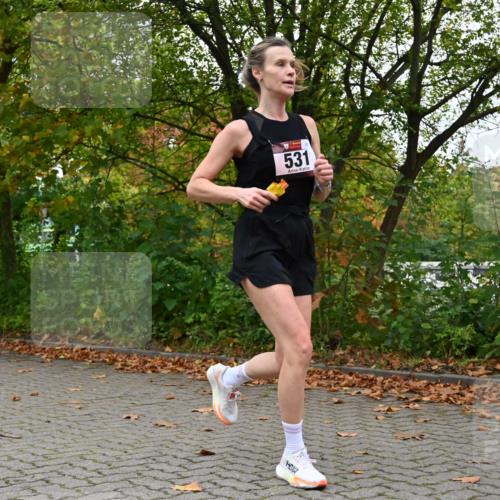 11.10.2026 - Bramfelder Halbmarathon 2026 J. Mangold http://msf.ph/oto/10822583 11.10.2026 10:19:20 Laufen 16, 271, 531 meine-sportfotos.de