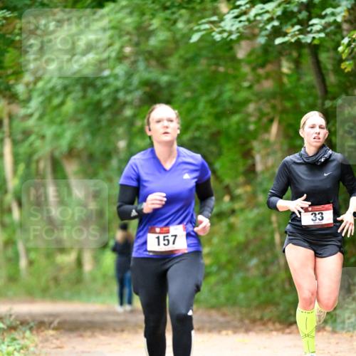 11.10.2026 - Bramfelder Halbmarathon 2026 Dr. Thomas Lammeyer http://msf.ph/oto/10822602 11.10.2026 10:35:28 Laufen 33, 157 meine-sportfotos.de