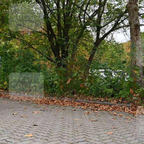 11.10.2026 - Bramfelder Halbmarathon 2026 J. Mangold http://msf.ph/oto/10822633 11.10.2026 10:20:10 Laufen 219, 274, 760 meine-sportfotos.de