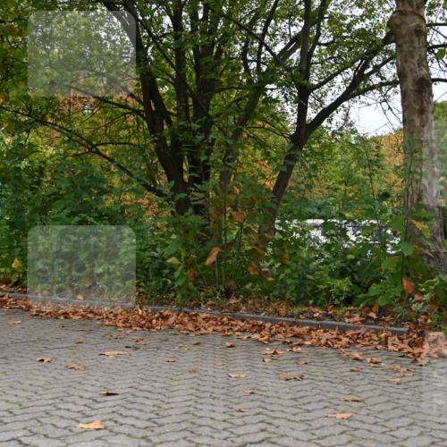 11.10.2026 - Bramfelder Halbmarathon 2026 J. Mangold http://msf.ph/oto/10822648 11.10.2026 10:20:14 Laufen 33, 606, 760 meine-sportfotos.de