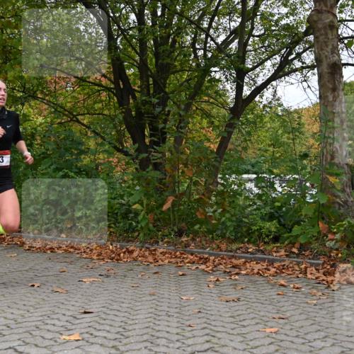 11.10.2026 - Bramfelder Halbmarathon 2026 J. Mangold http://msf.ph/oto/10822650 11.10.2026 10:20:14 Laufen 33, 606, 760 meine-sportfotos.de