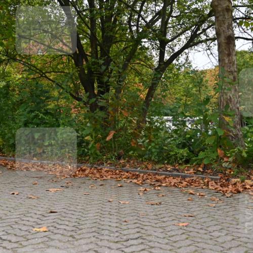 11.10.2026 - Bramfelder Halbmarathon 2026 J. Mangold http://msf.ph/oto/10822683 11.10.2026 10:20:56 Laufen 201, 262, 349 meine-sportfotos.de