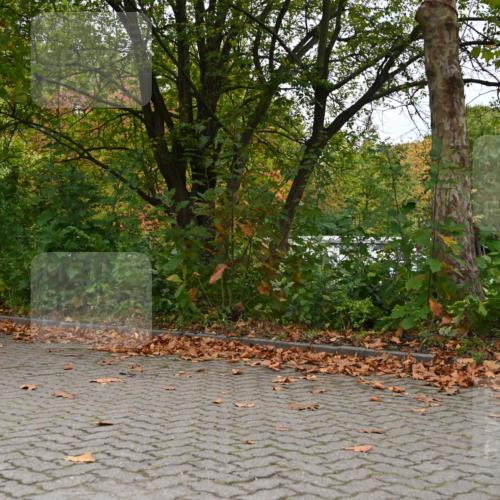 11.10.2026 - Bramfelder Halbmarathon 2026 J. Mangold http://msf.ph/oto/10822685 11.10.2026 10:20:56 Laufen 201, 262, 349 meine-sportfotos.de