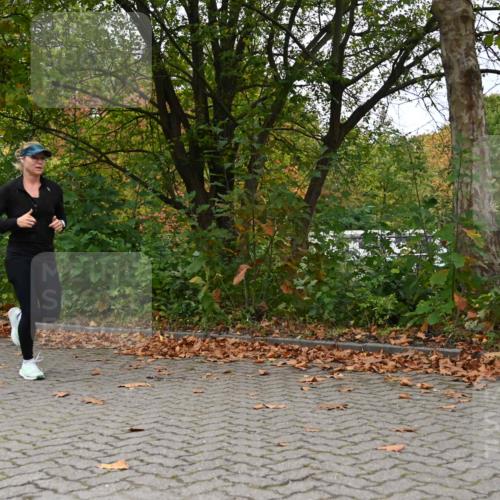 11.10.2026 - Bramfelder Halbmarathon 2026 J. Mangold http://msf.ph/oto/10822722 11.10.2026 10:21:33 Laufen 781 meine-sportfotos.de