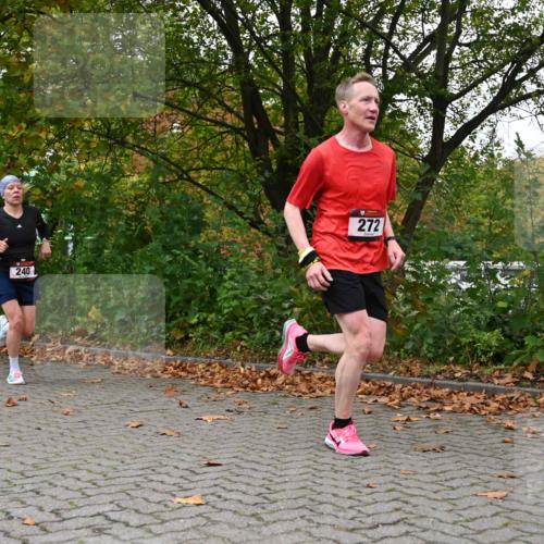 11.10.2026 - Bramfelder Halbmarathon 2026 J. Mangold http://msf.ph/oto/10822739 11.10.2026 10:22:07 Laufen 240, 272, 275 meine-sportfotos.de