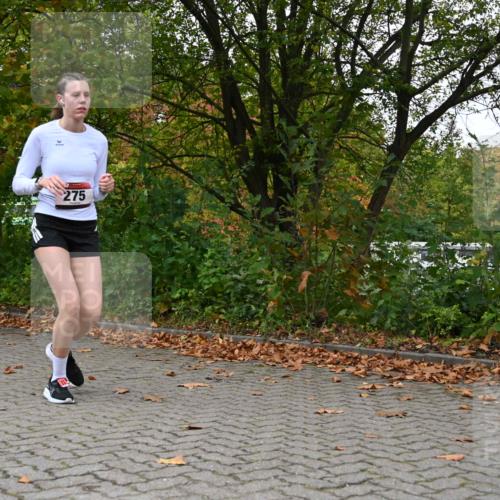 11.10.2026 - Bramfelder Halbmarathon 2026 J. Mangold http://msf.ph/oto/10822748 11.10.2026 10:22:09 Laufen 240, 272, 275, 730, 816 meine-sportfotos.de
