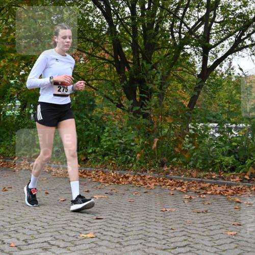 11.10.2026 - Bramfelder Halbmarathon 2026 J. Mangold http://msf.ph/oto/10822750 11.10.2026 10:22:10 Laufen 240, 272, 275, 730, 816 meine-sportfotos.de