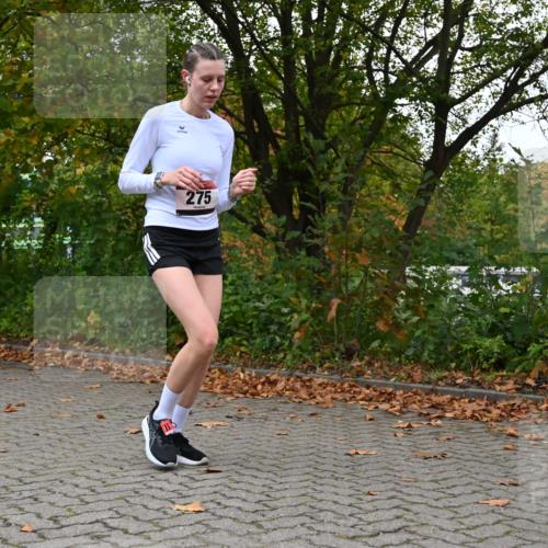 11.10.2026 - Bramfelder Halbmarathon 2026 J. Mangold http://msf.ph/oto/10822752 11.10.2026 10:22:10 Laufen 240, 272, 275, 730, 816 meine-sportfotos.de