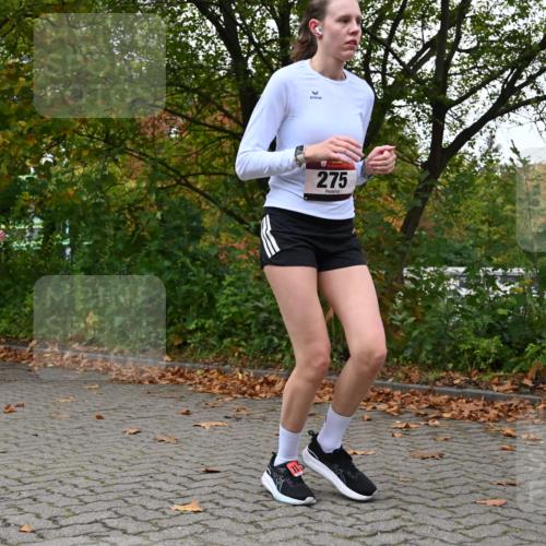 11.10.2026 - Bramfelder Halbmarathon 2026 J. Mangold http://msf.ph/oto/10822756 11.10.2026 10:22:10 Laufen 240, 272, 275, 730, 816 meine-sportfotos.de