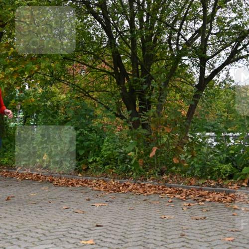 11.10.2026 - Bramfelder Halbmarathon 2026 J. Mangold http://msf.ph/oto/10822842 11.10.2026 10:22:37 Laufen 29, 155, 454, 576 meine-sportfotos.de