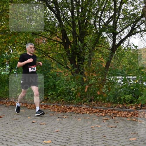 11.10.2026 - Bramfelder Halbmarathon 2026 J. Mangold http://msf.ph/oto/10822911 11.10.2026 10:23:17 Laufen 192, 328, 741 meine-sportfotos.de