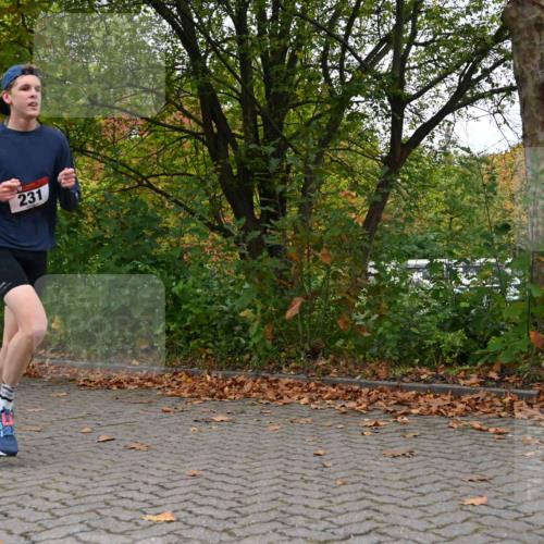 11.10.2026 - Bramfelder Halbmarathon 2026 J. Mangold http://msf.ph/oto/10822958 11.10.2026 10:23:52 Laufen 43, 231, 510 meine-sportfotos.de