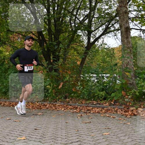 11.10.2026 - Bramfelder Halbmarathon 2026 J. Mangold http://msf.ph/oto/10823006 11.10.2026 10:26:04 Laufen 654, 773 meine-sportfotos.de