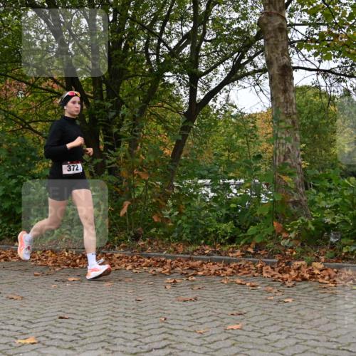 11.10.2026 - Bramfelder Halbmarathon 2026 J. Mangold http://msf.ph/oto/10823025 11.10.2026 10:26:14 Laufen 372, 654 meine-sportfotos.de