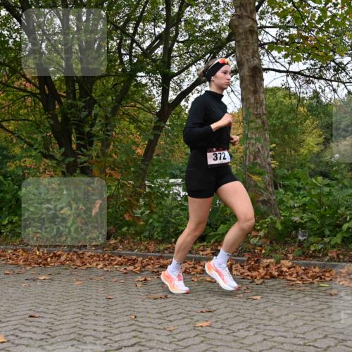 11.10.2026 - Bramfelder Halbmarathon 2026 J. Mangold http://msf.ph/oto/10823034 11.10.2026 10:26:15 Laufen 372 meine-sportfotos.de