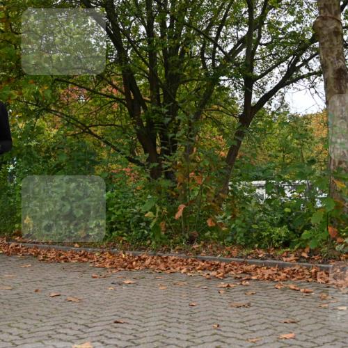 11.10.2026 - Bramfelder Halbmarathon 2026 J. Mangold http://msf.ph/oto/10823057 11.10.2026 10:27:11 Laufen 530, 551, 641, 702 meine-sportfotos.de