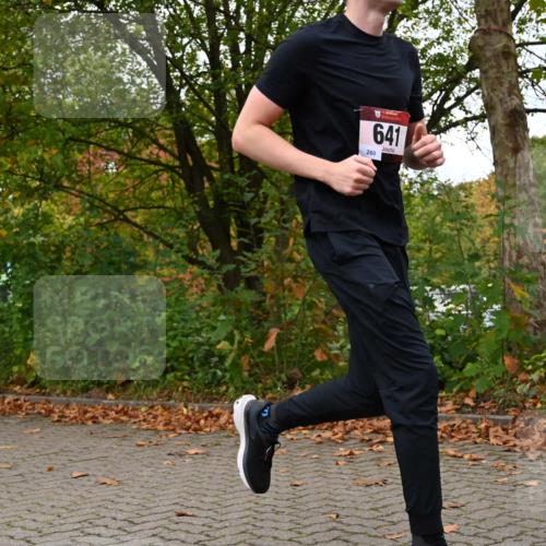 11.10.2026 - Bramfelder Halbmarathon 2026 J. Mangold http://msf.ph/oto/10823069 11.10.2026 10:27:13 Laufen 530, 551, 594, 641, 702 meine-sportfotos.de