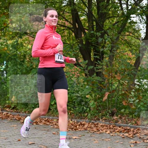 11.10.2026 - Bramfelder Halbmarathon 2026 J. Mangold http://msf.ph/oto/10823107 11.10.2026 10:27:55 Laufen 368, 521, 526, 637, 735 meine-sportfotos.de