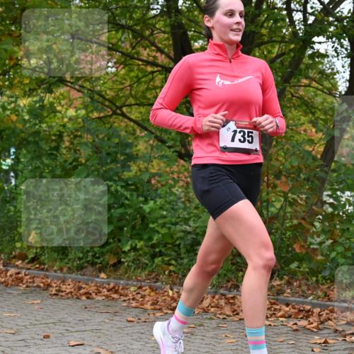 11.10.2026 - Bramfelder Halbmarathon 2026 J. Mangold http://msf.ph/oto/10823109 11.10.2026 10:27:55 Laufen 368, 521, 526, 637, 735 meine-sportfotos.de