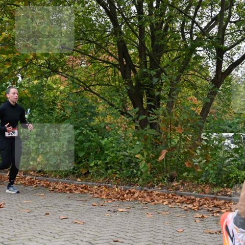 11.10.2026 - Bramfelder Halbmarathon 2026 J. Mangold http://msf.ph/oto/10823120 11.10.2026 10:27:57 Laufen 368, 521, 526, 637, 725, 735 meine-sportfotos.de