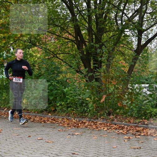 11.10.2026 - Bramfelder Halbmarathon 2026 J. Mangold http://msf.ph/oto/10823122 11.10.2026 10:27:57 Laufen 368, 521, 526, 637, 725, 735 meine-sportfotos.de