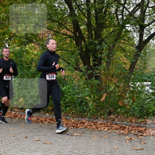 11.10.2026 - Bramfelder Halbmarathon 2026 J. Mangold http://msf.ph/oto/10823126 11.10.2026 10:27:58 Laufen 368, 521, 526, 637, 725, 735 meine-sportfotos.de