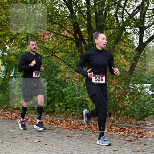 11.10.2026 - Bramfelder Halbmarathon 2026 J. Mangold http://msf.ph/oto/10823130 11.10.2026 10:27:58 Laufen 368, 521, 526, 637, 725, 735 meine-sportfotos.de
